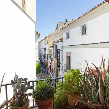 Atico Mezquita Malu Apartment Cordoba
